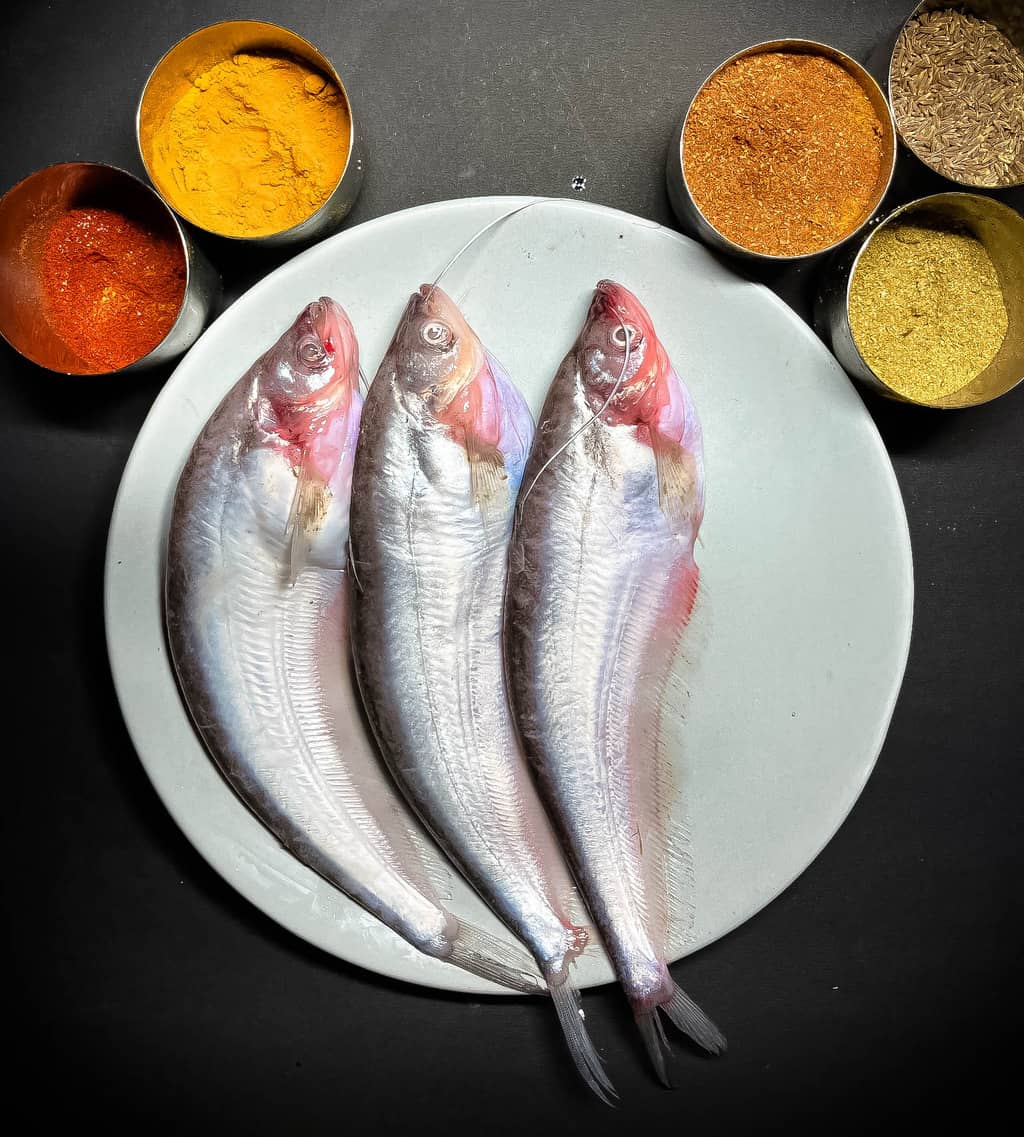 Pabda Big/ দেশি পাবদা (100-150 gm each) 500gms Pack