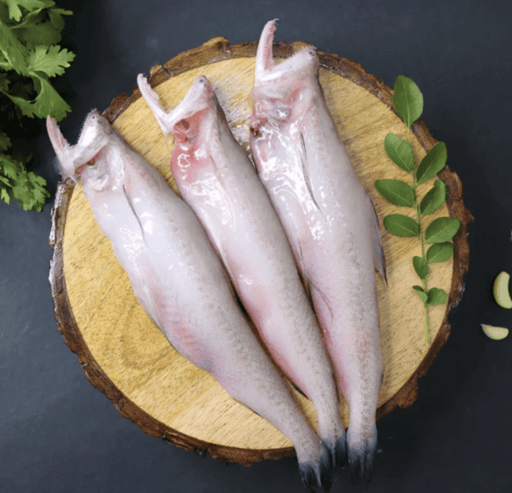 Bombay Duck/ লোইটা (70-100gms each) 500gms pack