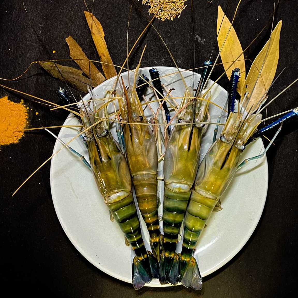 Jumbo Prawns/ গলদা চিংড়ি  ( Size 8-10pcs/kg ) 500gms Pack