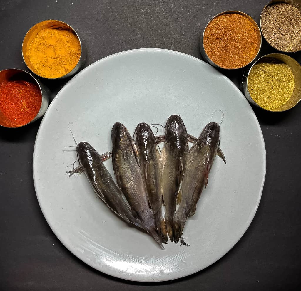 Tangra/ দেশী ট্যাংরা (Size 60-80gms each) 500gms pack