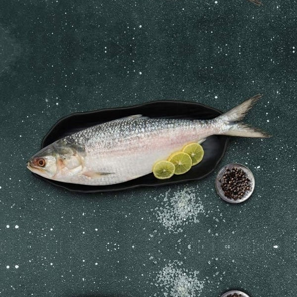 Ilish/ Hilsha (Size 800gms)- whole curry cut