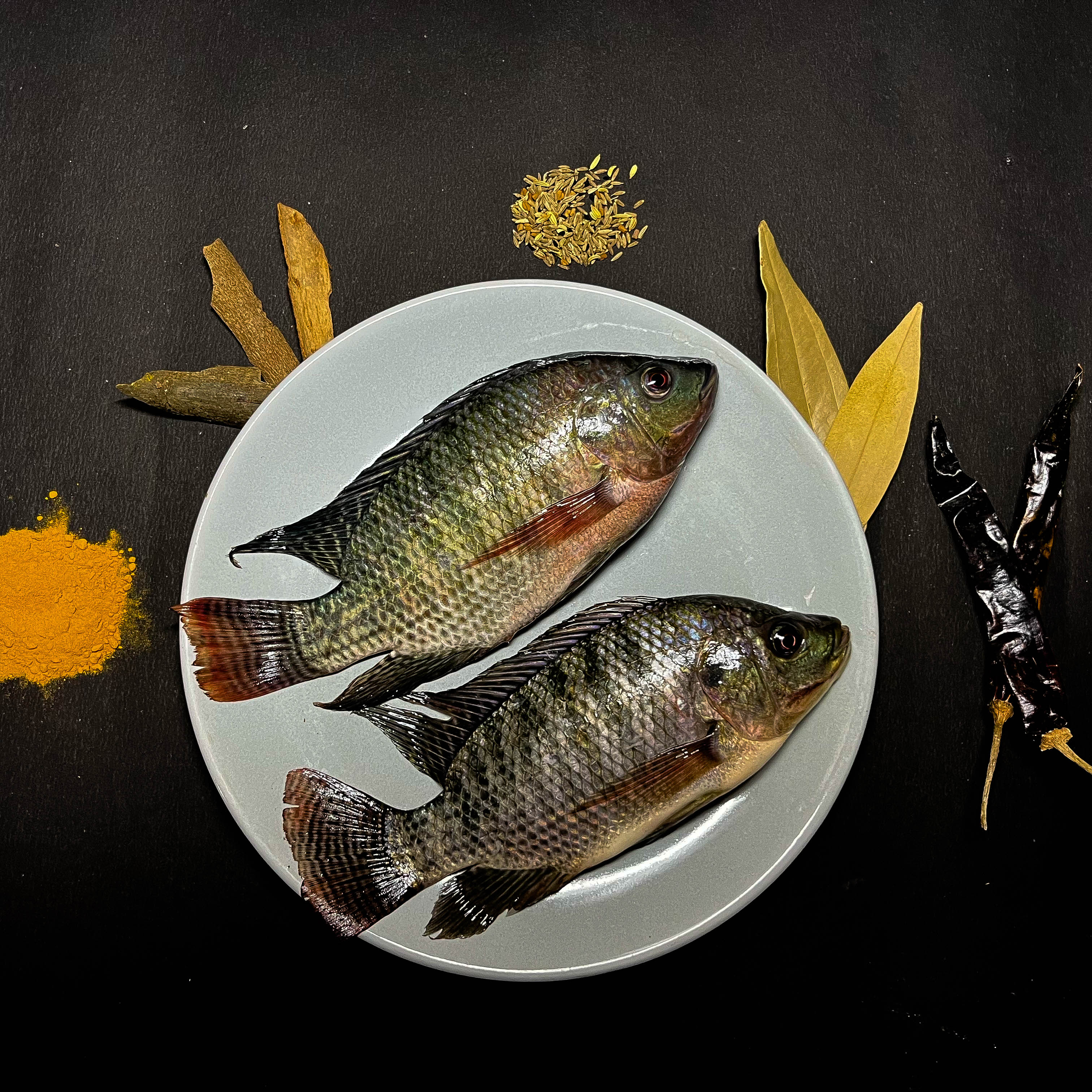 Tilapia/ দেশি তেলাপিয়া (Size 150-250gms each)